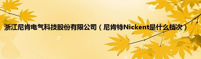 浙江尼肯电气科技股份有限公司（尼肯特Nickent是什么档次）