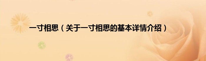 一寸相思（关于一寸相思的基本详情介绍）