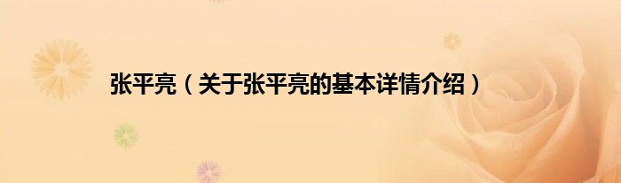张平亮（关于张平亮的基本详情介绍）