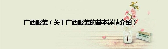广西服装（关于广西服装的基本详情介绍）
