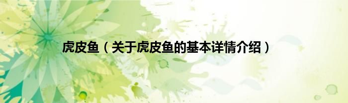 虎皮鱼（关于虎皮鱼的基本详情介绍）