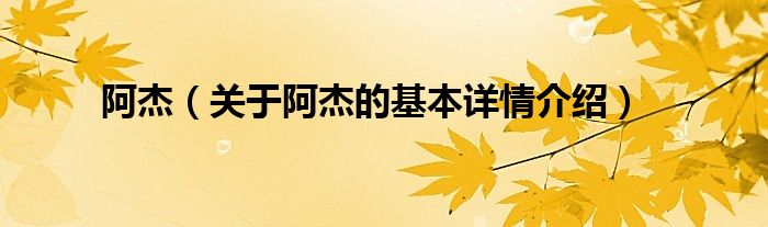 阿杰（关于阿杰的基本详情介绍）