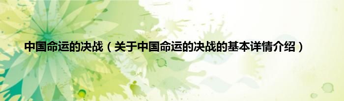 中国命运的决战（关于中国命运的决战的基本详情介绍）