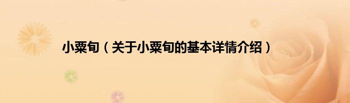 小粟旬（关于小粟旬的基本详情介绍）