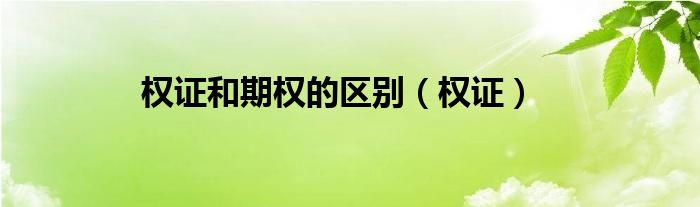 权证和期权的区别（权证）