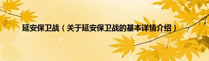 延安保卫战（关于延安保卫战的基本详情介绍）