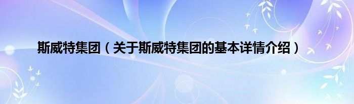 斯威特集团（关于斯威特集团的基本详情介绍）