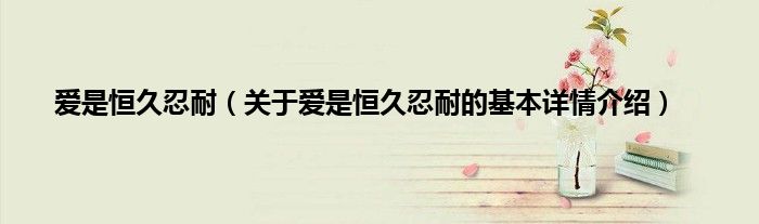 爱是恒久忍耐（关于爱是恒久忍耐的基本详情介绍）