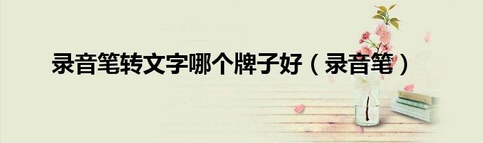 录音笔转文字哪个牌子好（录音笔）