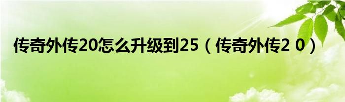 传奇外传20怎么升级到25（传奇外传2 0）