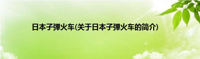 日本子弹火车(关于日本子弹火车的简介)