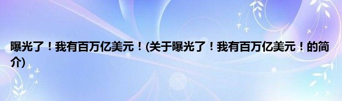 曝光了！我有百万亿美元！(关于曝光了！我有百万亿美元！的简介)