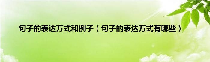 句子的表达方式和例子（句子的表达方式有哪些）