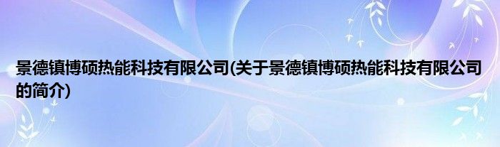 景德镇博硕热能科技有限公司(关于景德镇博硕热能科技有限公司的简介)