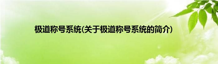 极道称号系统(关于极道称号系统的简介)