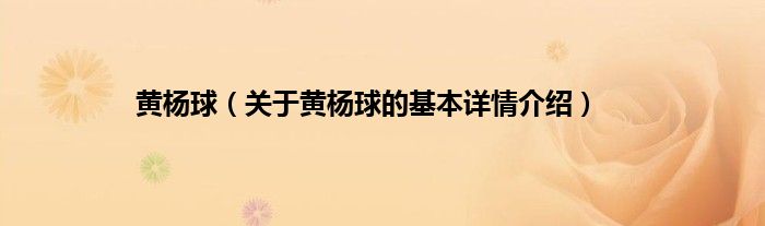黄杨球（关于黄杨球的基本详情介绍）