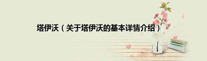 塔伊沃（关于塔伊沃的基本详情介绍）