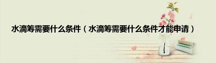 水滴筹需要什么条件（水滴筹需要什么条件才能申请）