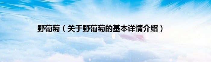 野葡萄（关于野葡萄的基本详情介绍）
