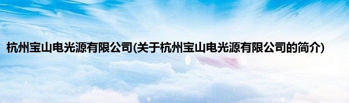 杭州宝山电光源有限公司(关于杭州宝山电光源有限公司的简介)