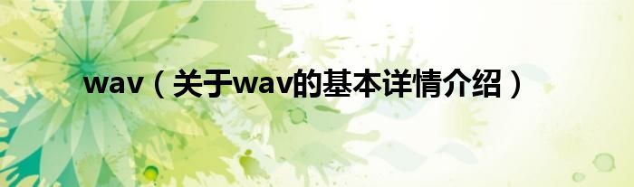 wav（关于wav的基本详情介绍）