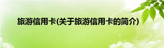 旅游信用卡(关于旅游信用卡的简介)