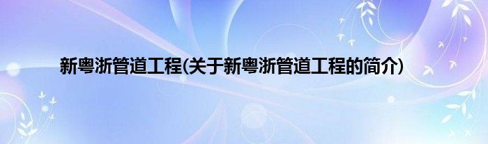 新粤浙管道工程(关于新粤浙管道工程的简介)