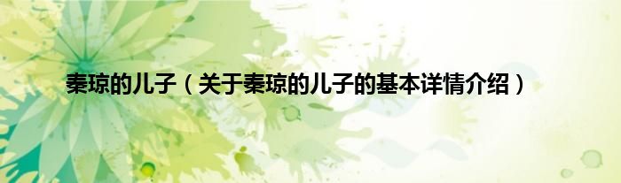 秦琼的儿子（关于秦琼的儿子的基本详情介绍）