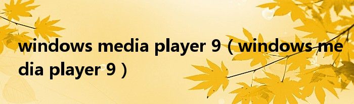 windows media player 9（windows media player 9）
