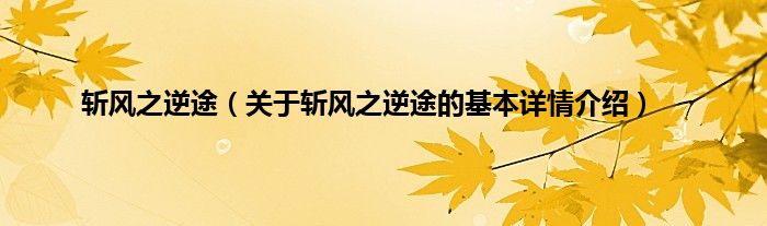 斩风之逆途（关于斩风之逆途的基本详情介绍）