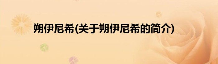 朔伊尼希(关于朔伊尼希的简介)