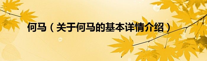 何马（关于何马的基本详情介绍）