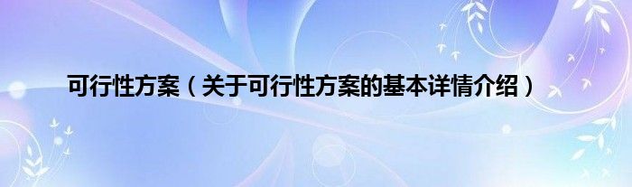可行性方案（关于可行性方案的基本详情介绍）