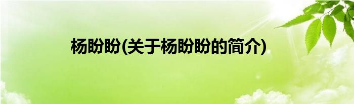 杨盼盼(关于杨盼盼的简介)