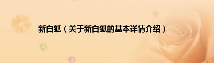 新白狐（关于新白狐的基本详情介绍）