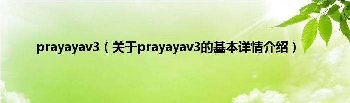 prayayav3（关于prayayav3的基本详情介绍）