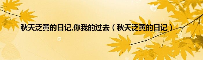 秋天泛黄的日记,你我的过去（秋天泛黄的日记）