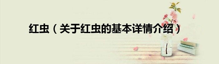 红虫（关于红虫的基本详情介绍）