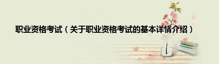 职业资格考试（关于职业资格考试的基本详情介绍）
