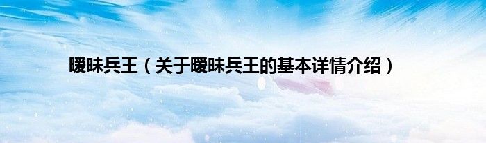 暧昧兵王（关于暧昧兵王的基本详情介绍）