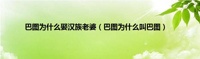 巴图为什么娶汉族老婆（巴图为什么叫巴图）