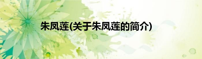 朱凤莲(关于朱凤莲的简介)