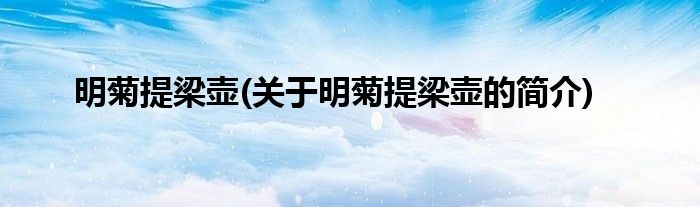 明菊提梁壶(关于明菊提梁壶的简介)