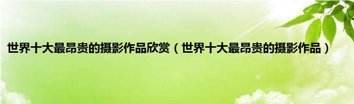 世界十大最昂贵的摄影作品欣赏（世界十大最昂贵的摄影作品）