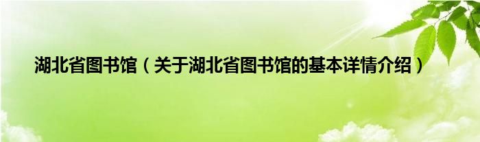 湖北省图书馆（关于湖北省图书馆的基本详情介绍）
