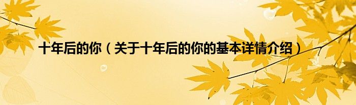 十年后的你（关于十年后的你的基本详情介绍）