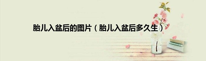 胎儿入盆后的图片（胎儿入盆后多久生）