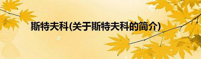 斯特夫科(关于斯特夫科的简介)