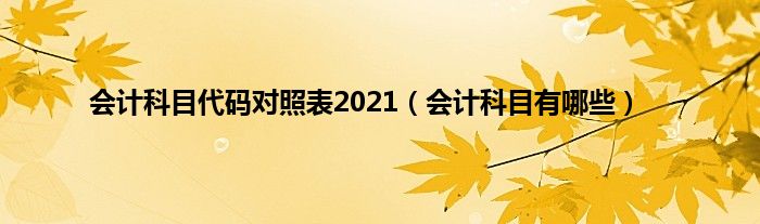 会计科目代码对照表2021(会计科目有哪些)