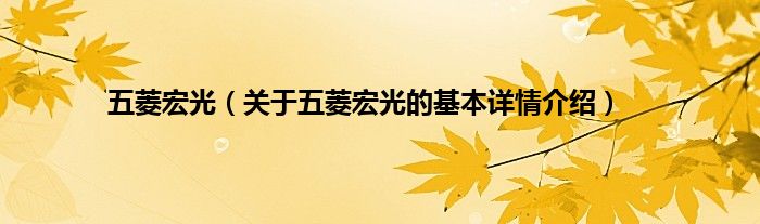 五菱宏光（关于五菱宏光的基本详情介绍）